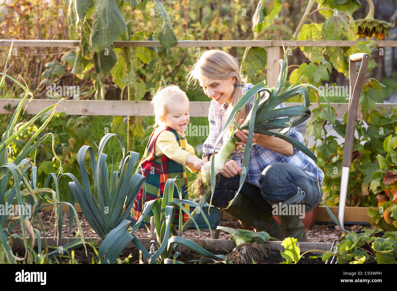Woman working on allotment with child Stock Photo