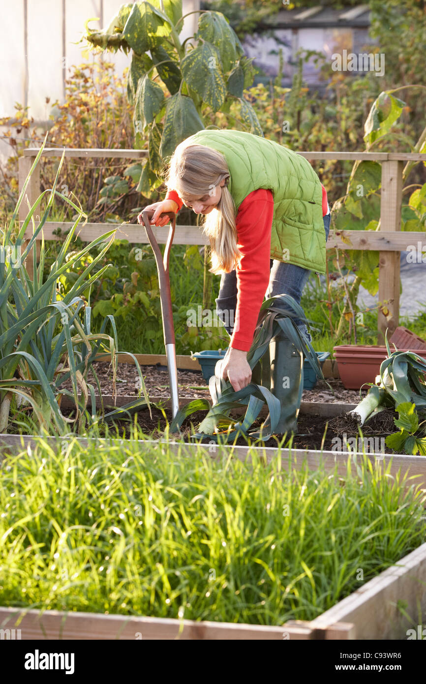 Woman working on allotment Stock Photo