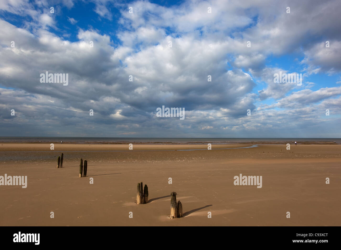 Old posts at Titchwell Beach in stormy weather Norfolk Stock Photo