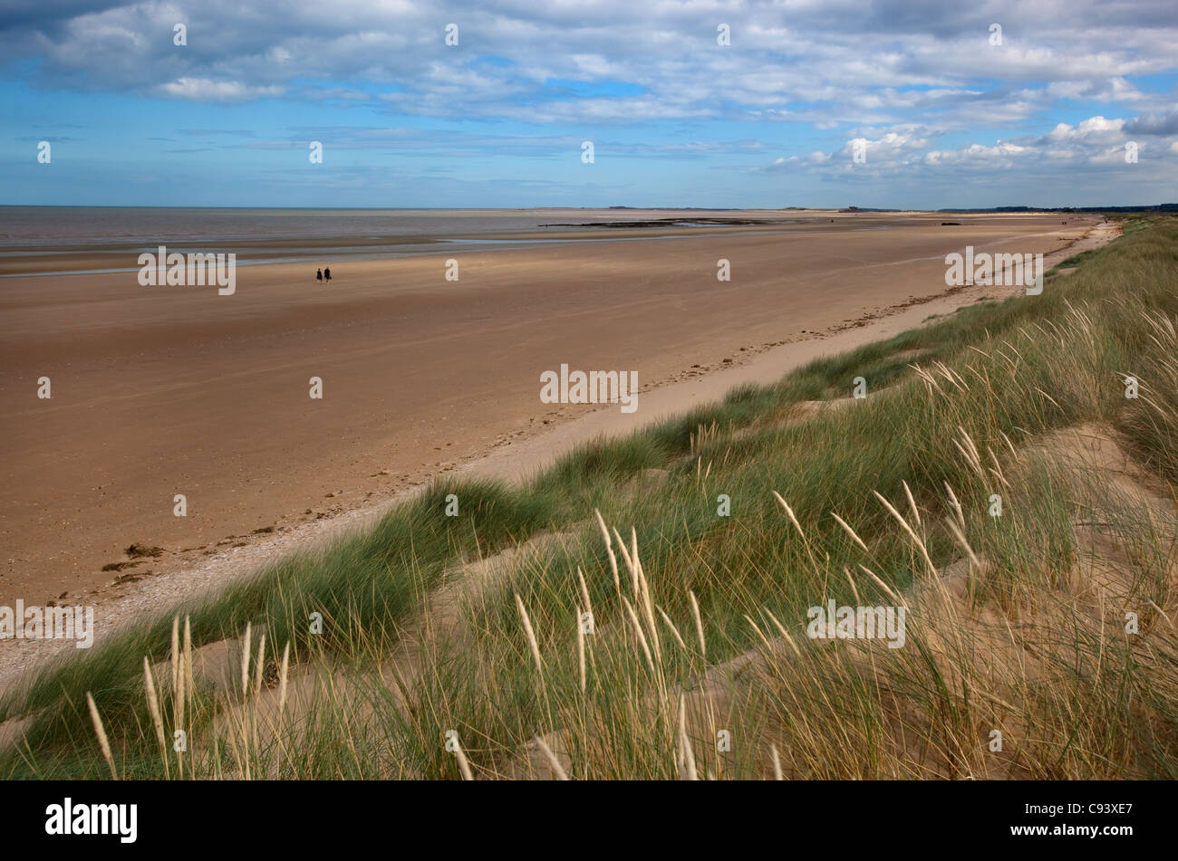 Sand dunes Titchwell Beach in stormy weather west Norfolk Stock Photo ...