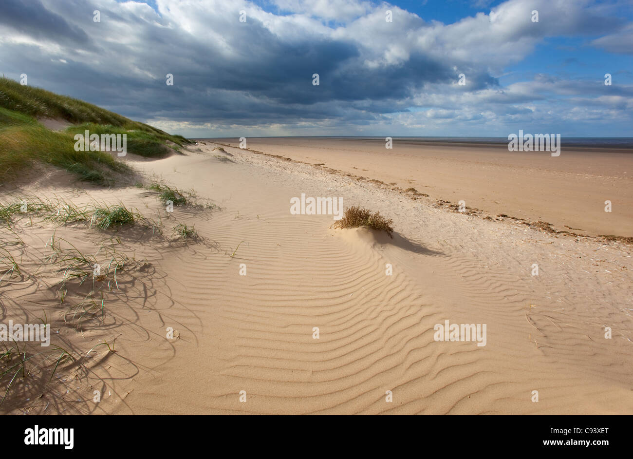 Sand dunes Titchwell Beach in stormy weather west Norfolk Stock Photo ...