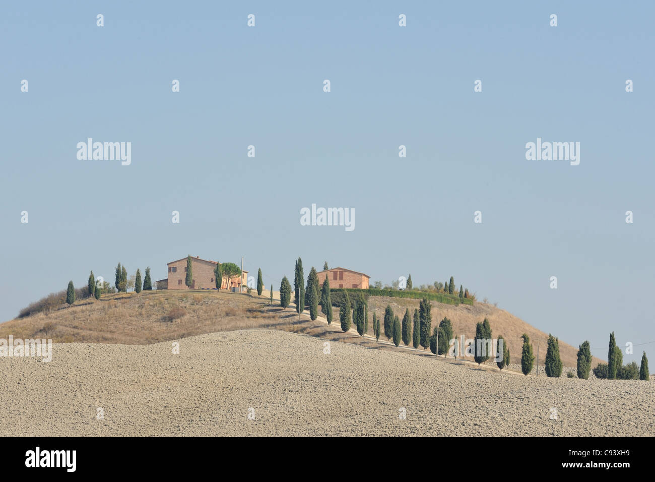 Classic rolling landscape in La Crete Stock Photo