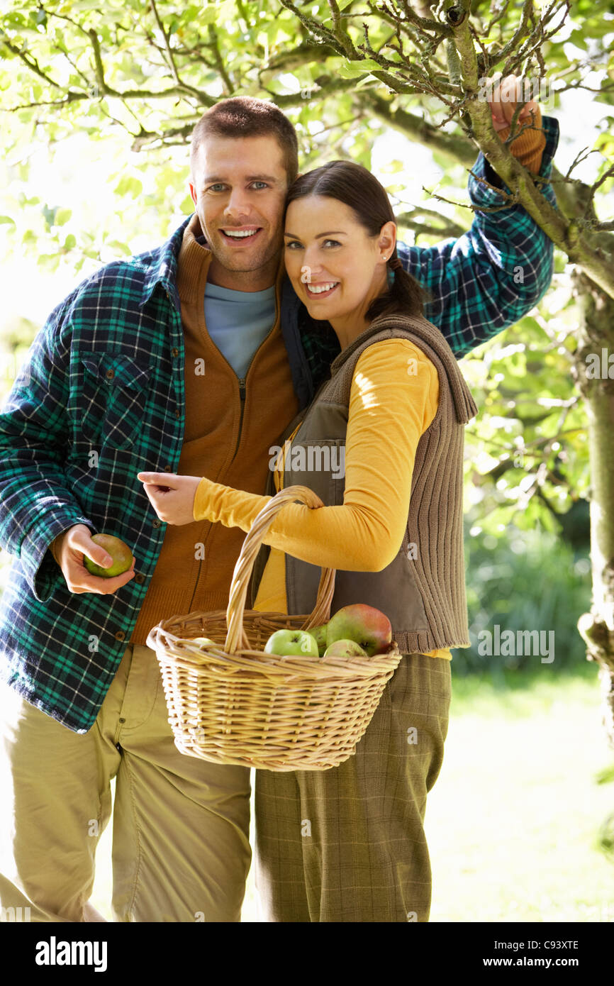 Couple picking apples in garden Stock Photo