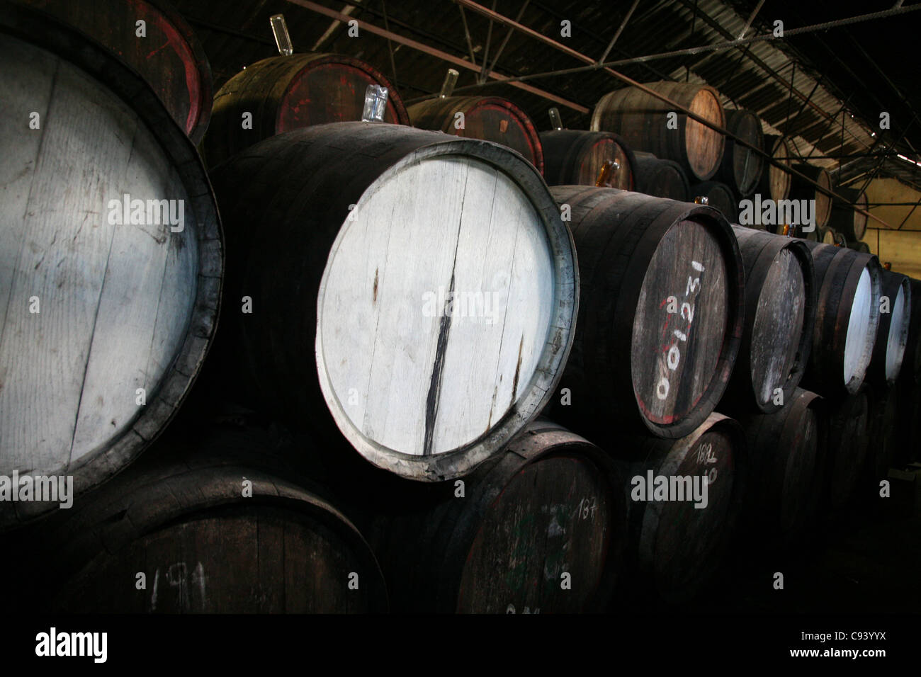 Barrels with rum at the rum factory Fabrica de Bebidas Casa Garay in