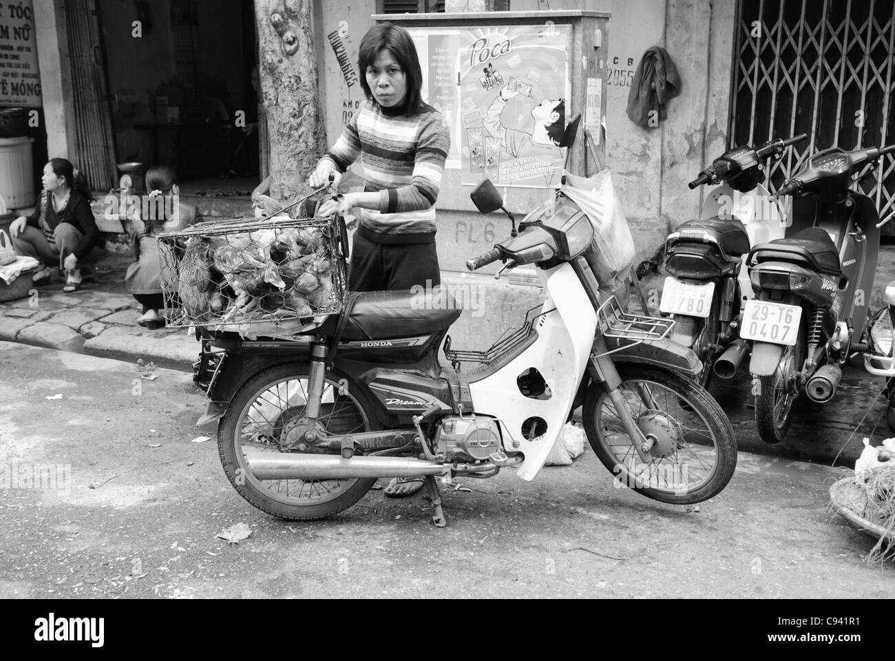 Asia, Vietnam, Hanoi. Hanoi old quarter. Vietnamese woman transporting live chicken on her motorbike. Stock Photo