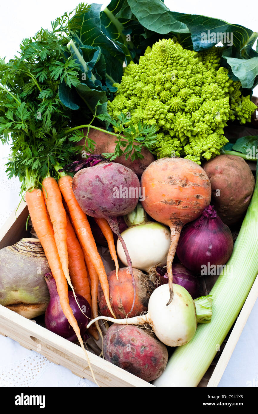 Box of mixed vegetables: turnips, carrots, swede, potatoes, beetroots, red onions, leek and Roman cauliflower Stock Photo