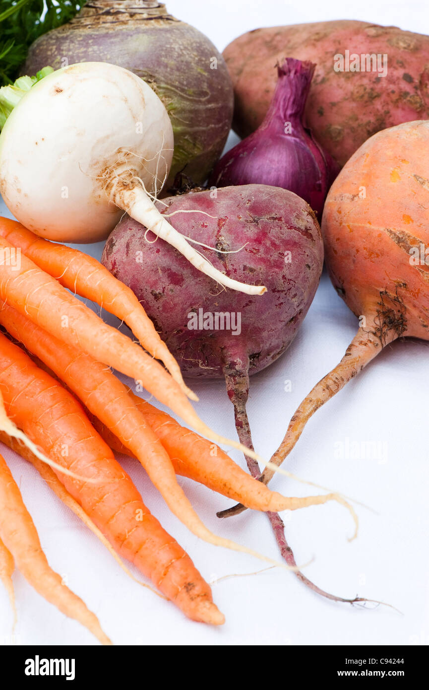 Mixed vegetables: turnip, carrots, swede, potato, beetroots and red onion Stock Photo