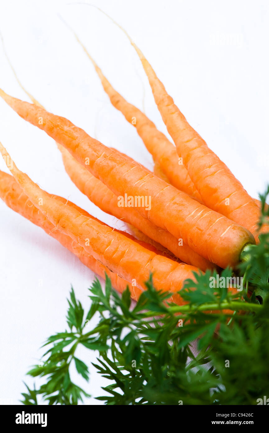 Carrot, Daucus Carota var. sativus Stock Photo