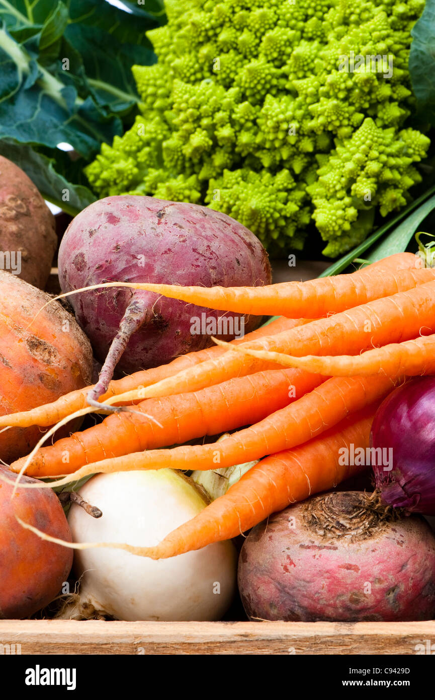 Box of mixed vegetables: turnip, carrots, potato, beetroots, red onions and Roman cauliflower Stock Photo