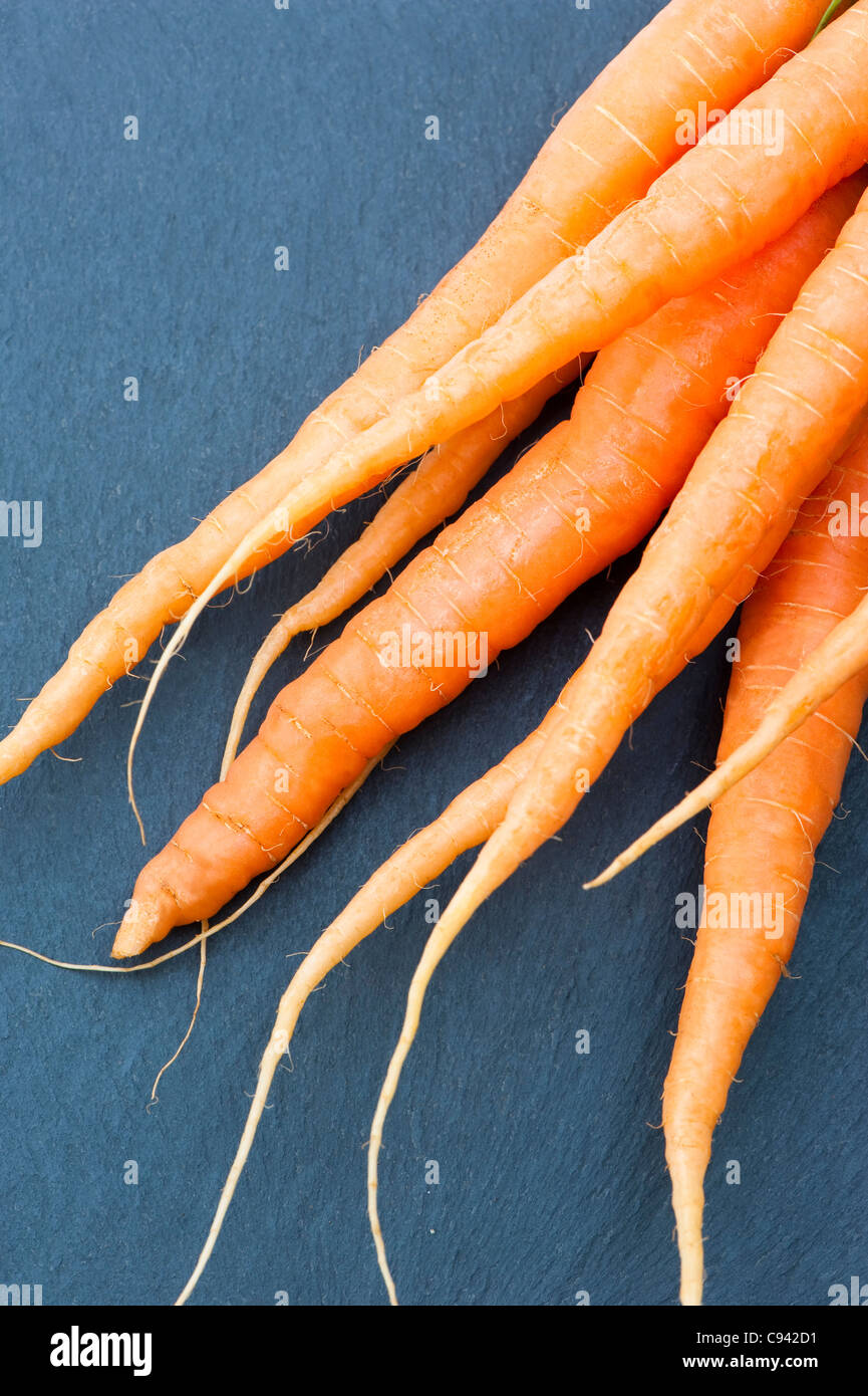 Carrots, Daucus Carota var. sativus Stock Photo