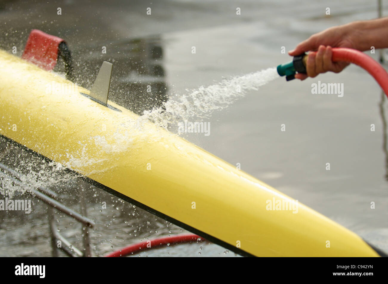 A rower washing his double scull rowboat. Stock Photo