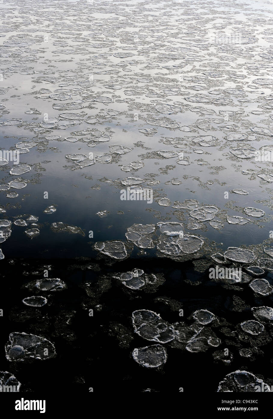 Ice flows on river. Stock Photo