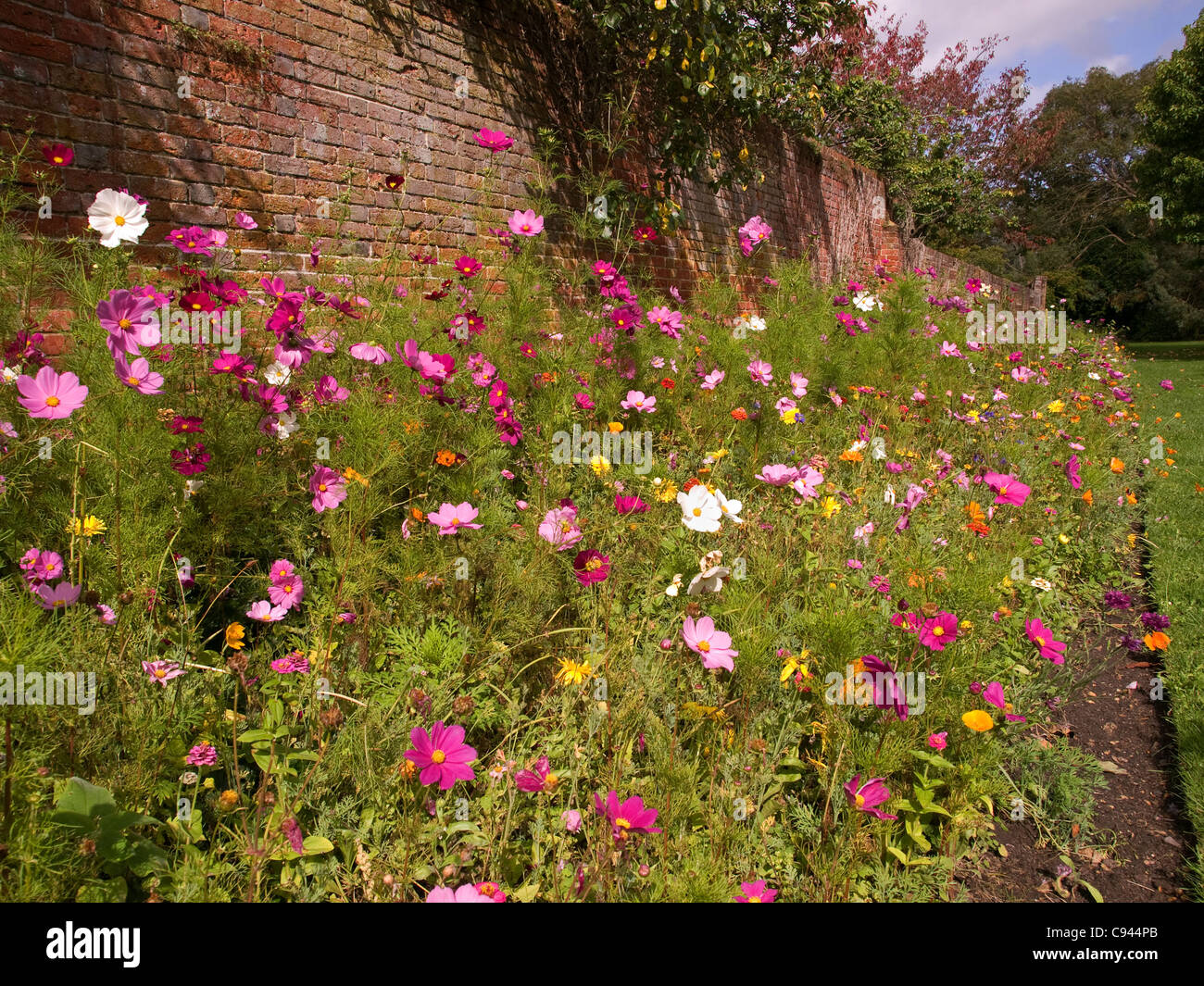 walled-garden-in-the-grounds-of-christchurch-priory-christchurch-dorset