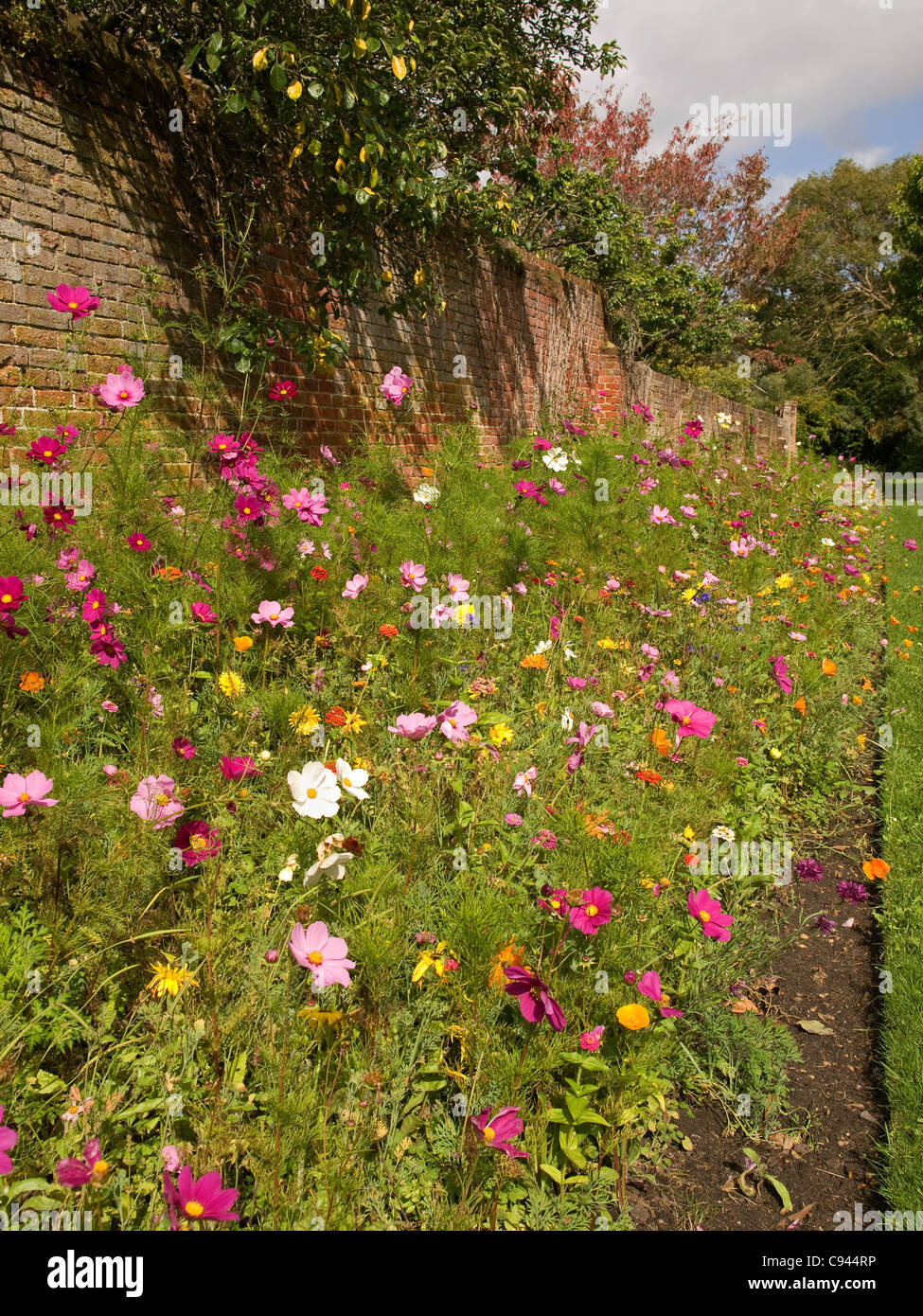 walled-garden-in-the-grounds-of-christchurch-priory-christchurch-dorset