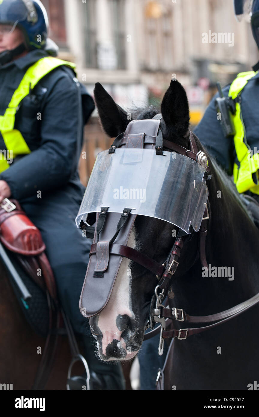 Riot protective equipment on a Metropolitan Police horses head Stock Photo