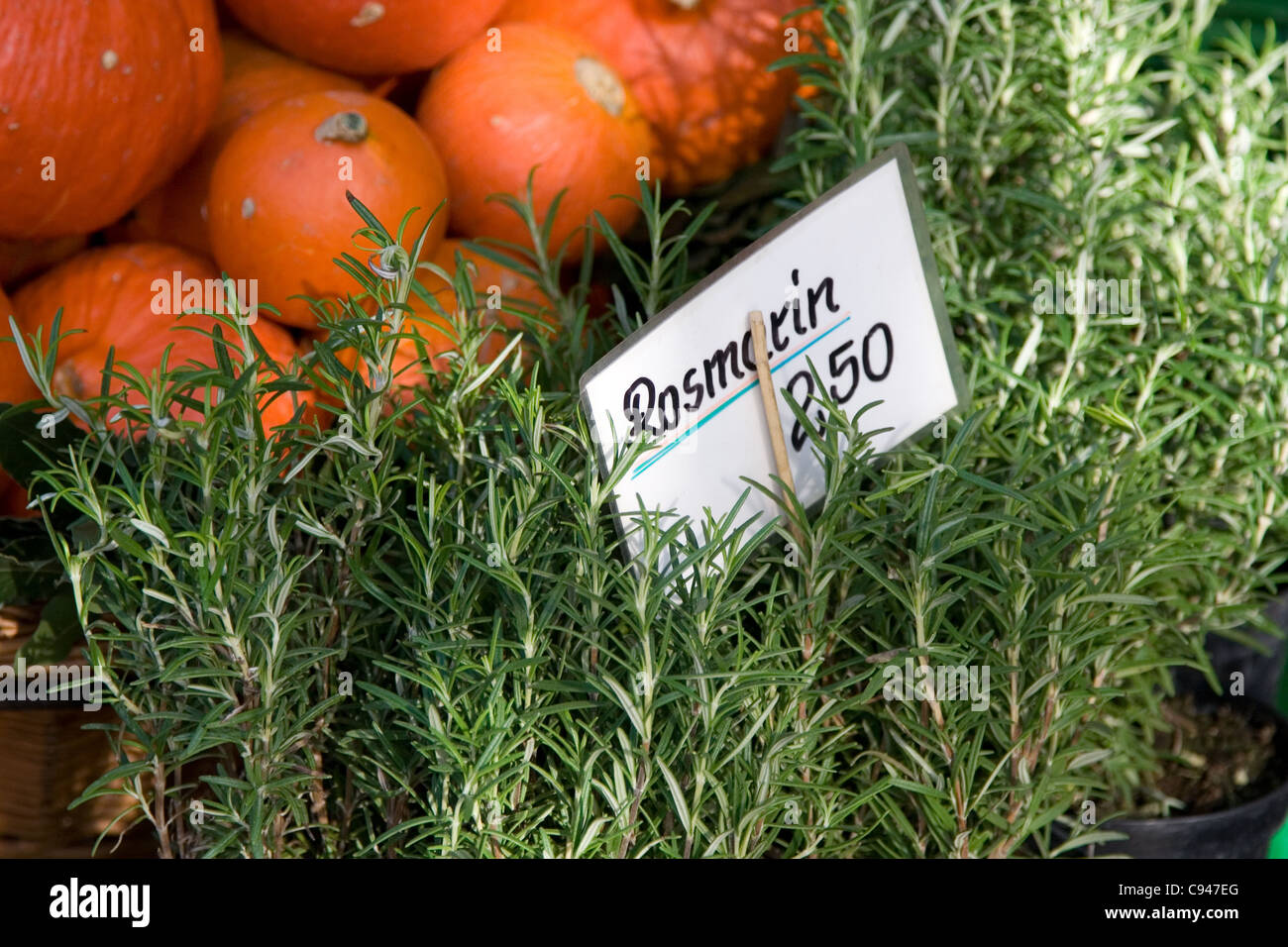 Rosemary herb in the market Stock Photo Alamy