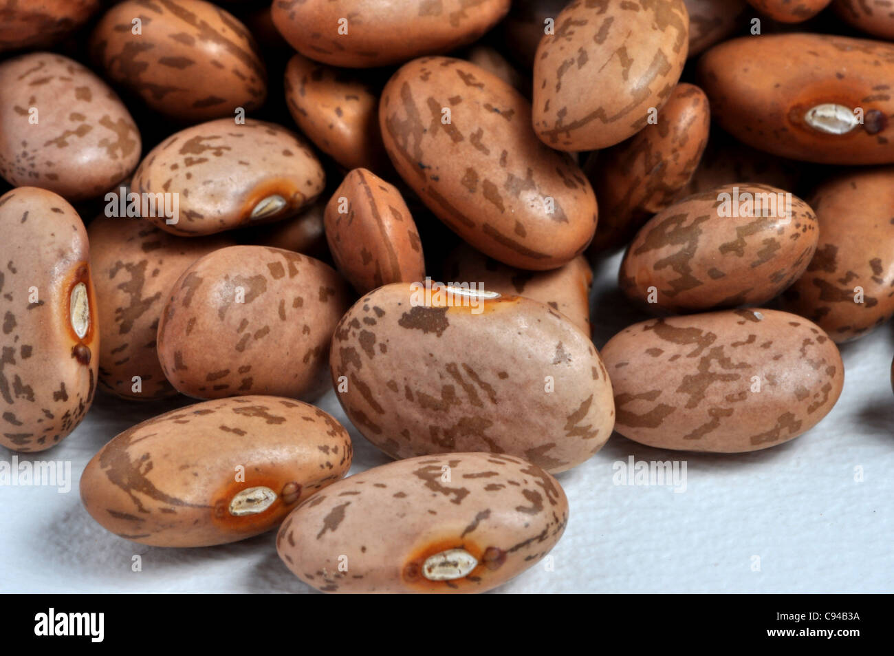 A closeup photo of a pile of pinto beans. Stock Photo