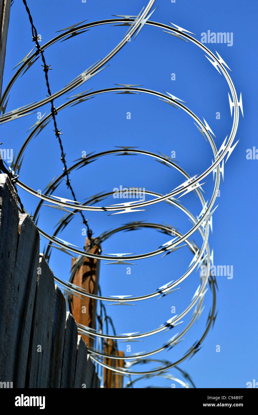 Razor wire on a wooden fence with a clear blue sky in the background. Stock Photo