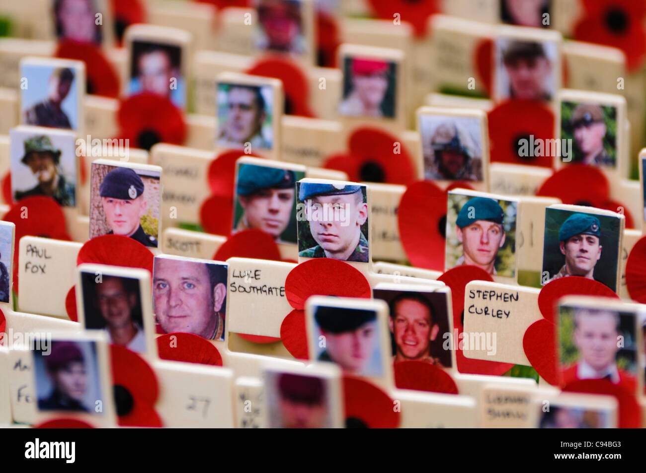 Wooden crosses with poppies and photographs in remembrance of servicemen and women killed in action. Stock Photo