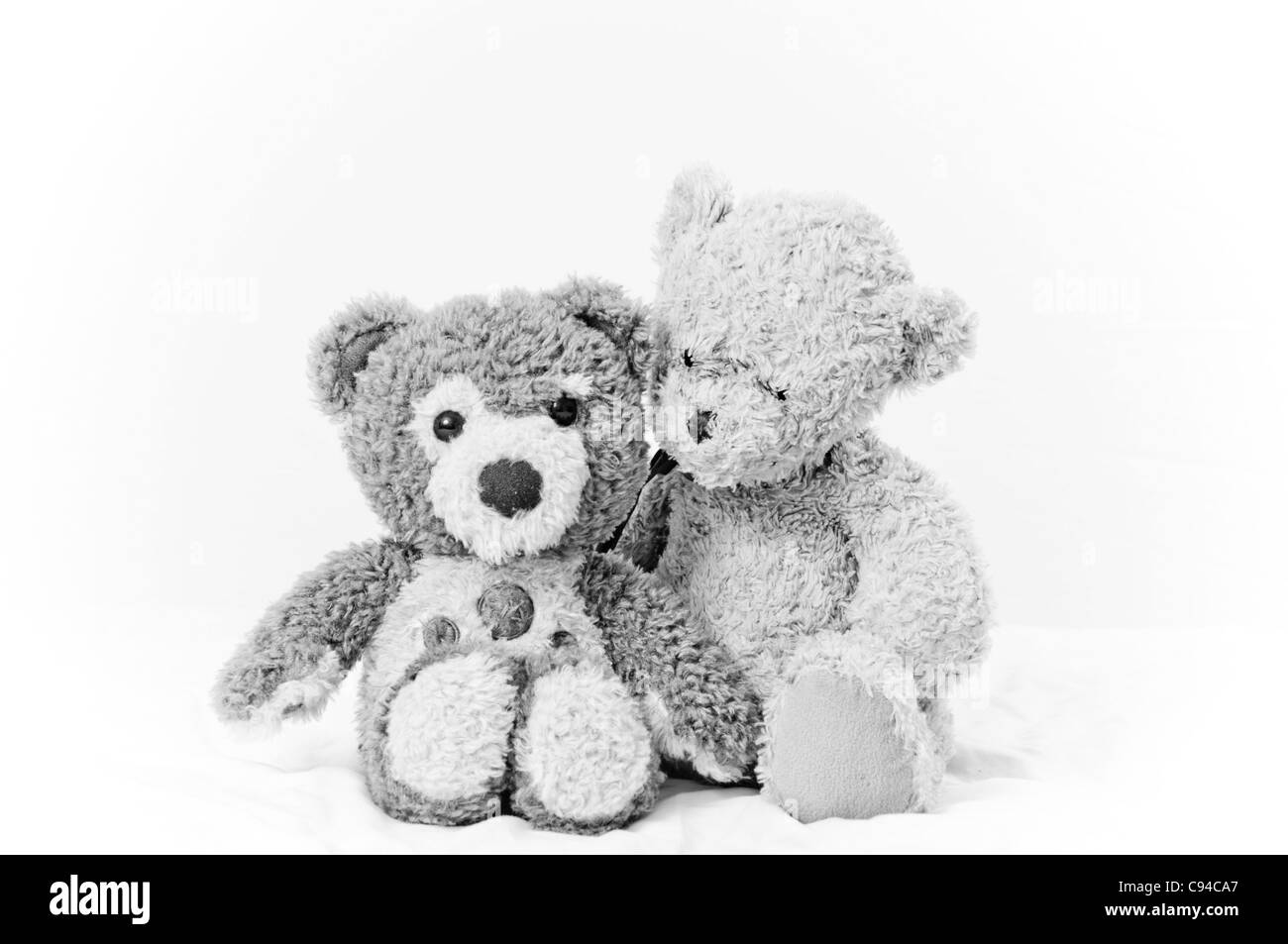 A portrait of two teddy bears Stock Photo