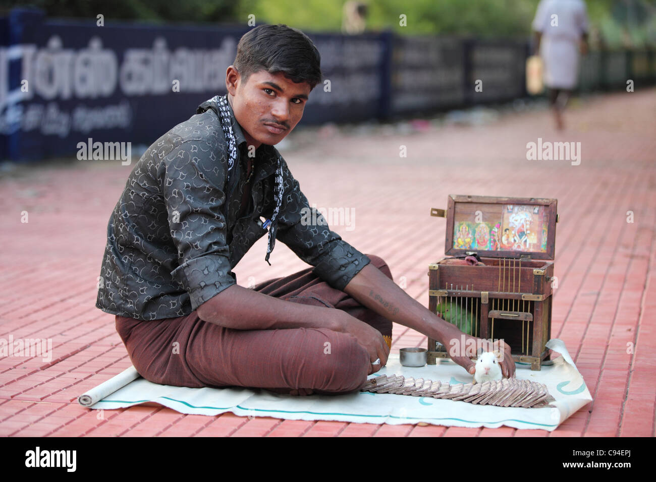 Fortune teller using a hamster or a parrot Tamil Nadu India Stock Photo