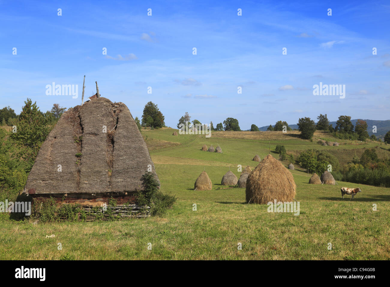 Hay Ricks High Resolution Stock Photography and Images Alamy