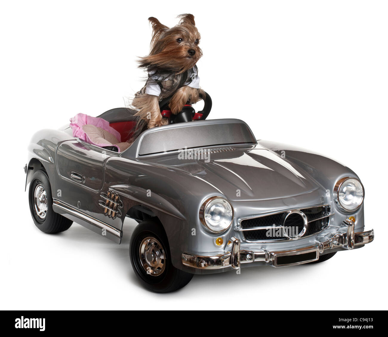 Dog convertible Cut Out Stock Images & Pictures Alamy