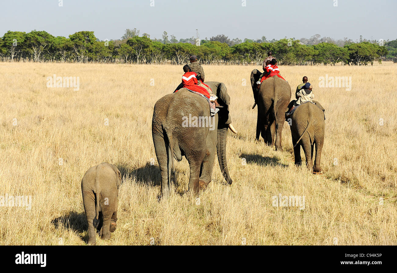Children riding elephants bare-back in Imire Safari Ranch, Zimbabwe ...