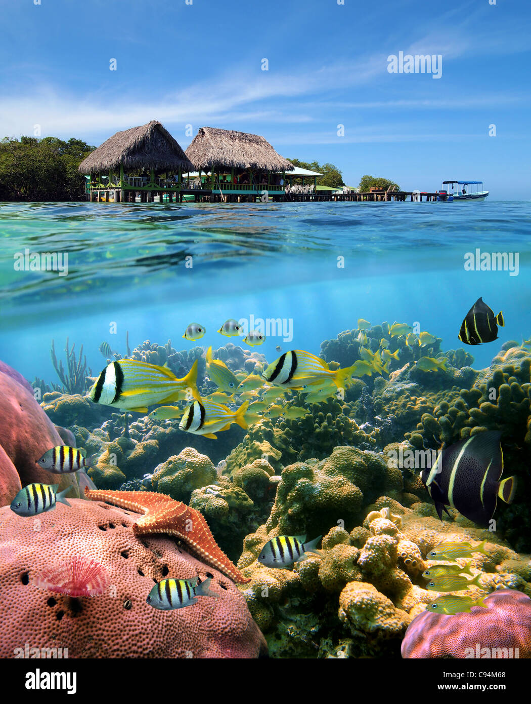 Over and underwater split view with a tropical restaurant over the sea and a coral reef with tropical fish, Bocas del Toro, Panama, Central America Stock Photo
