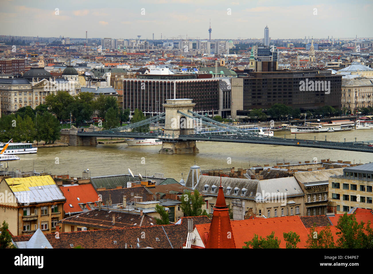 Calamite da collezione budapest | Acquisti Online su