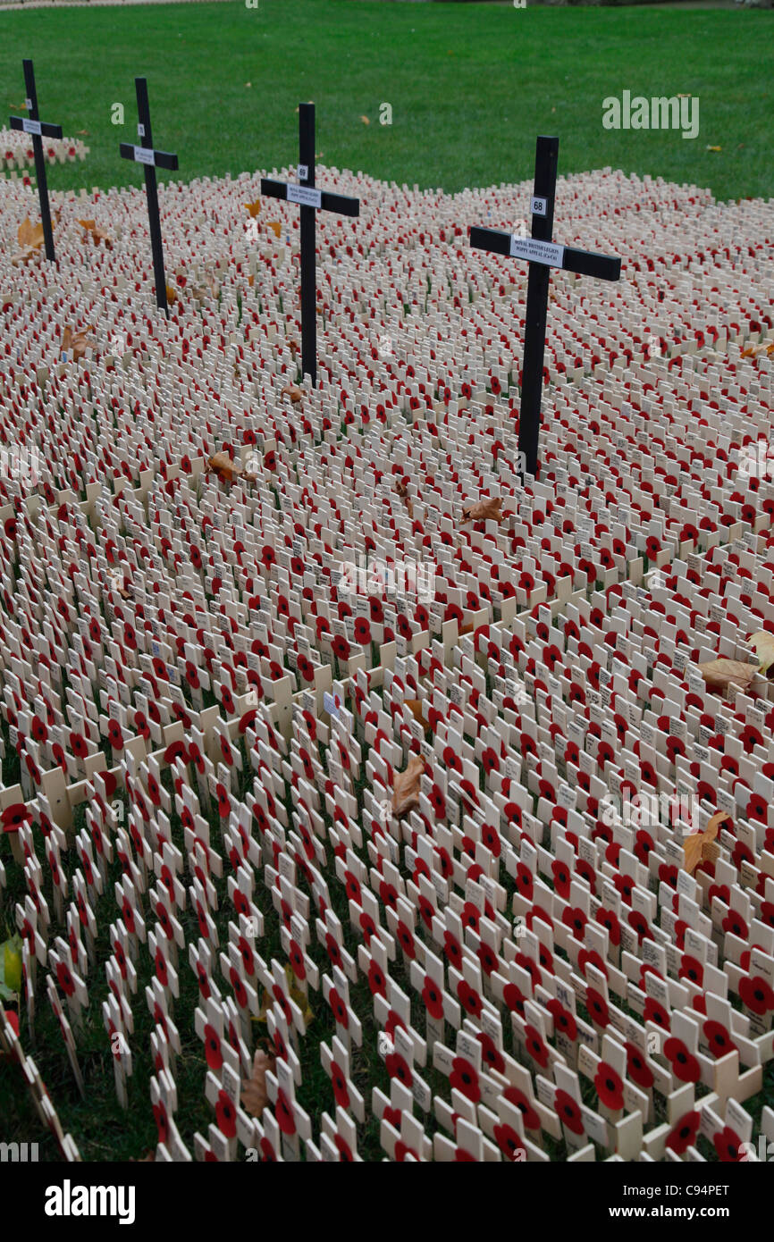 UK.POPPIES AND CROSSES BY WESTMINSTER ABBEY ON REMEMBRANCE DAY ...