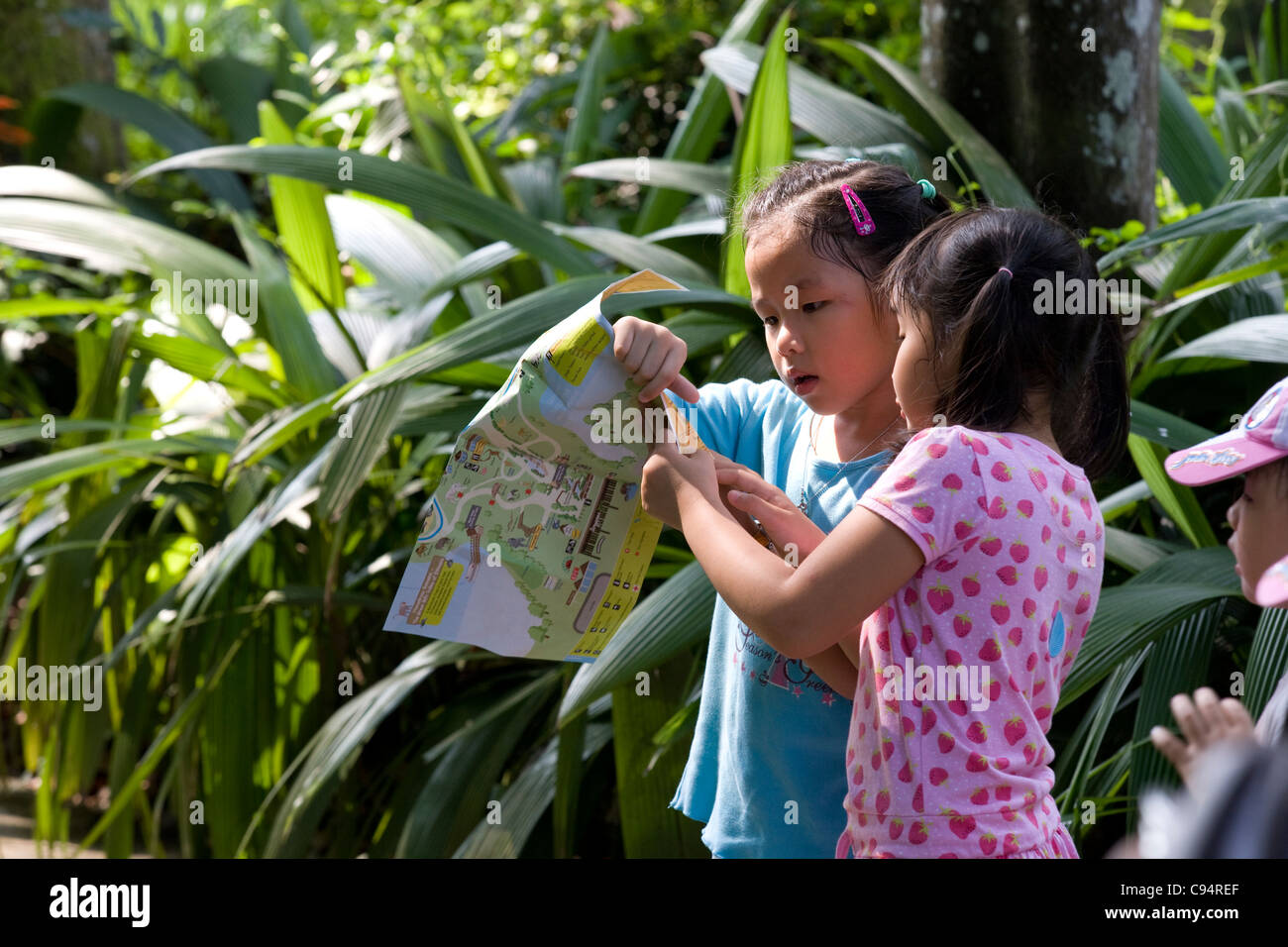 Singapore Zoo: kids looking at map Stock Photo