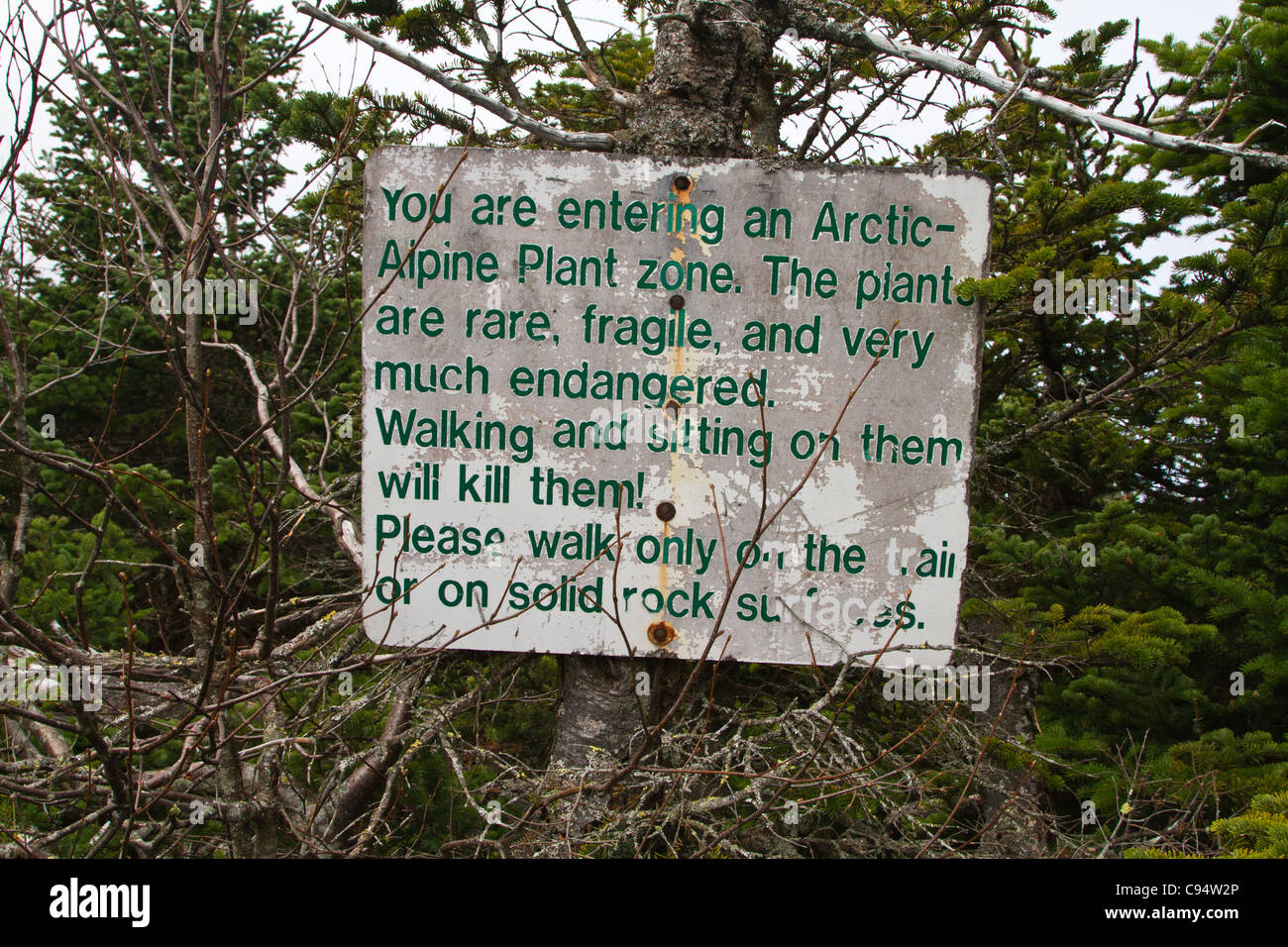 Mount Marcy, New York Stock Photo