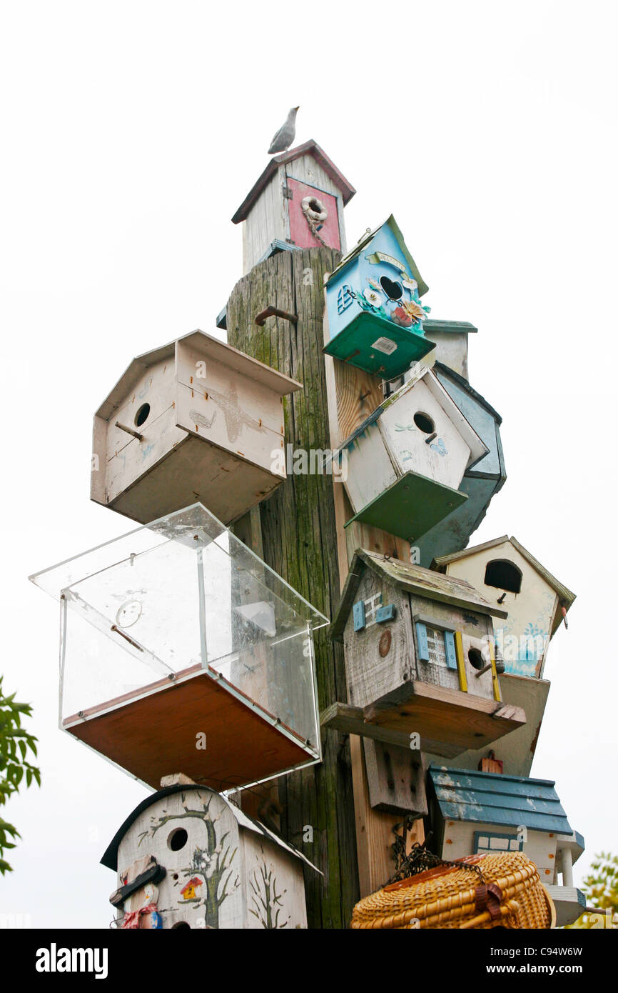 pole with birdhouse Stock Photo - Alamy