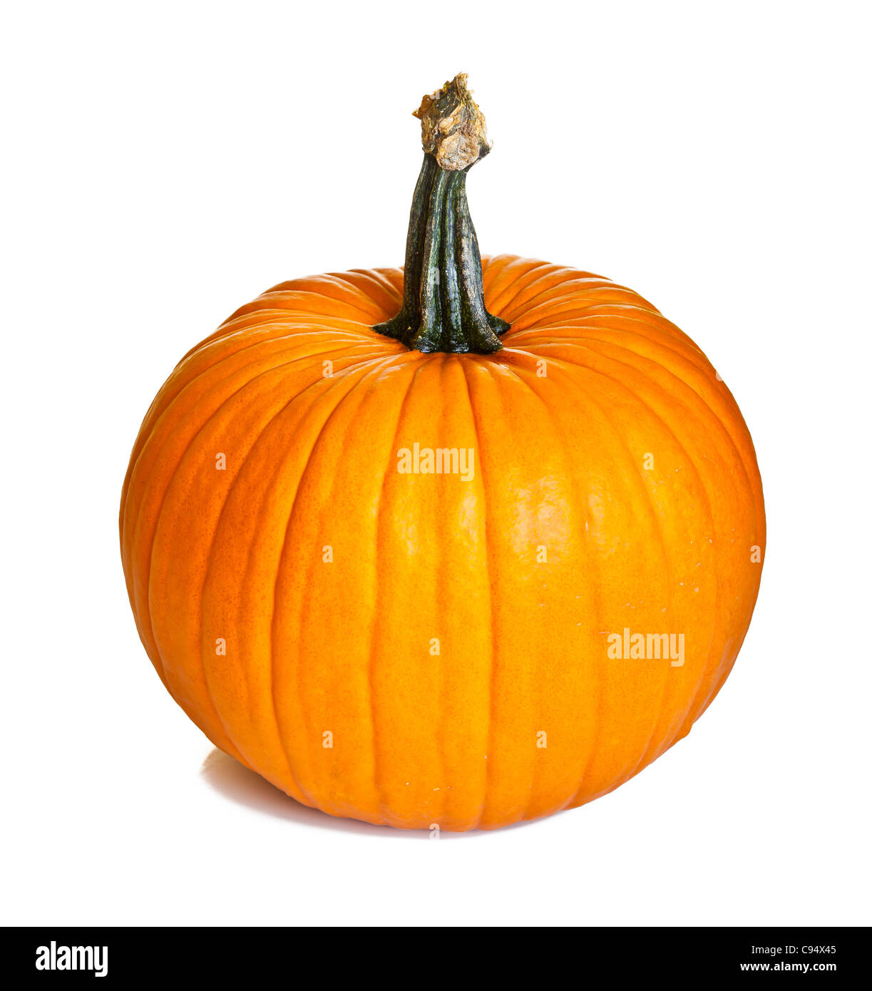 Isolated pumpkins Stock Photo