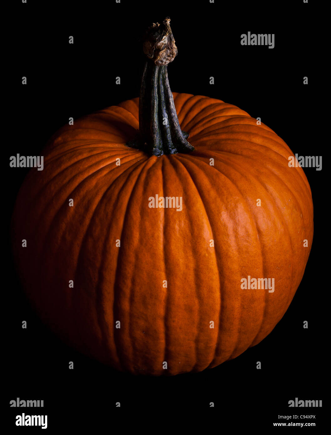 Pumpkins isolated on black Stock Photo - Alamy