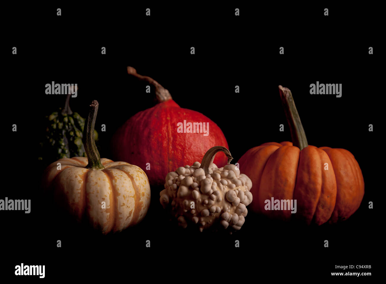 Pumpkins isolated on black Stock Photo - Alamy