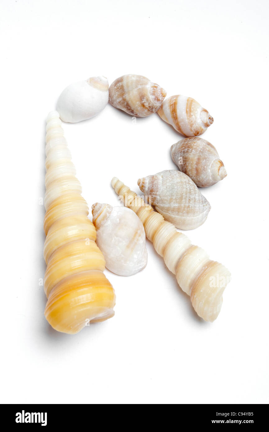 Alphabet shells Cut Out Stock Images & Pictures - Alamy
