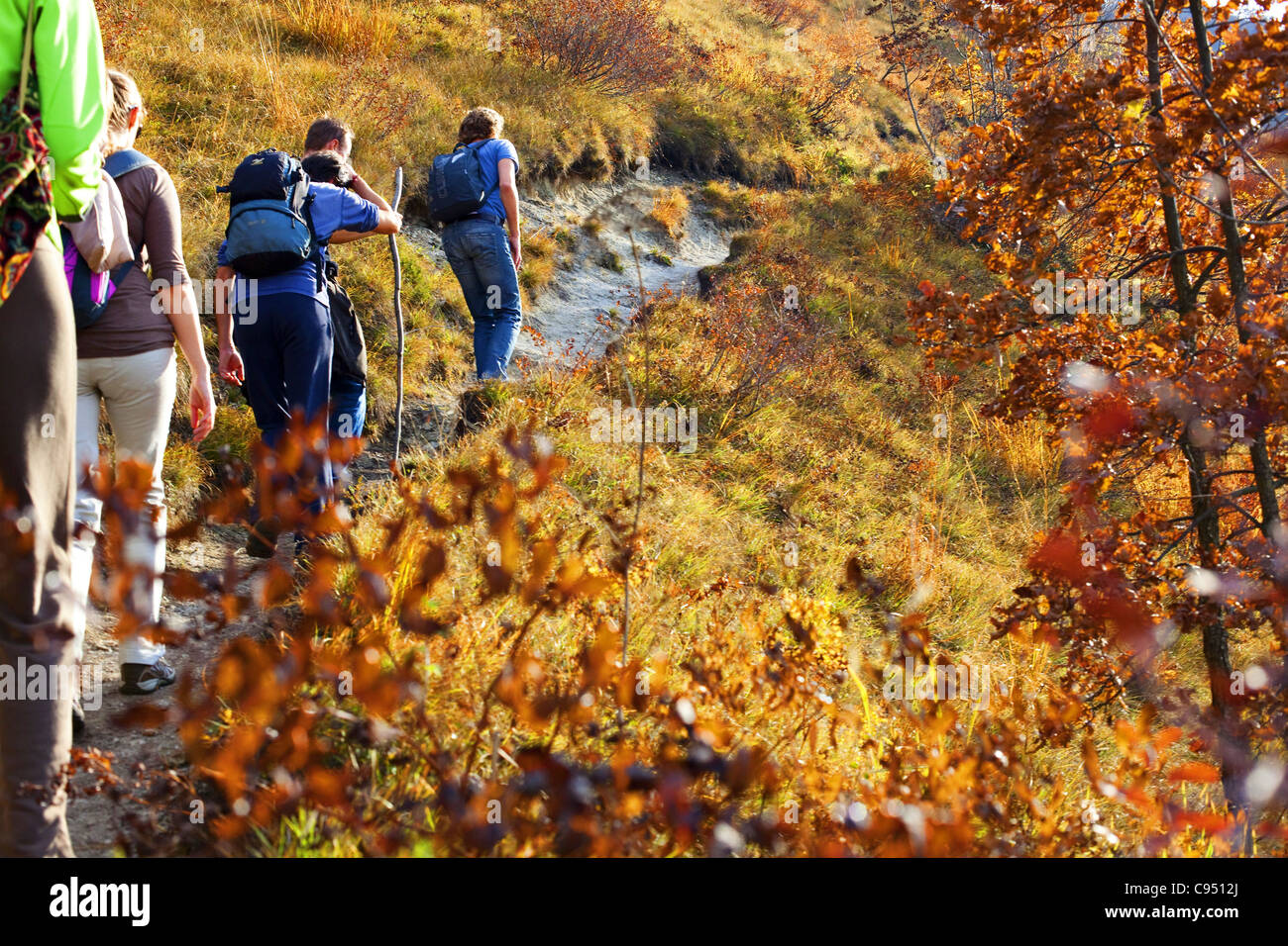 Group of people walking through forest hi-res stock photography and ...
