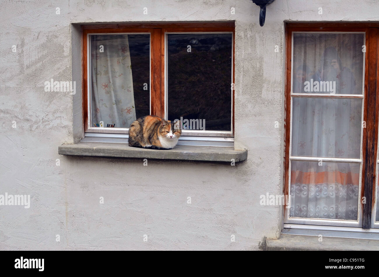 A cat napping on the window sill of a country chalet in Wengen, Switzerland. Stock Photo