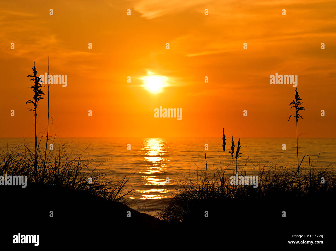 Sea oats sunrise, Outer Banks, North Carolina, USA Stock Photo