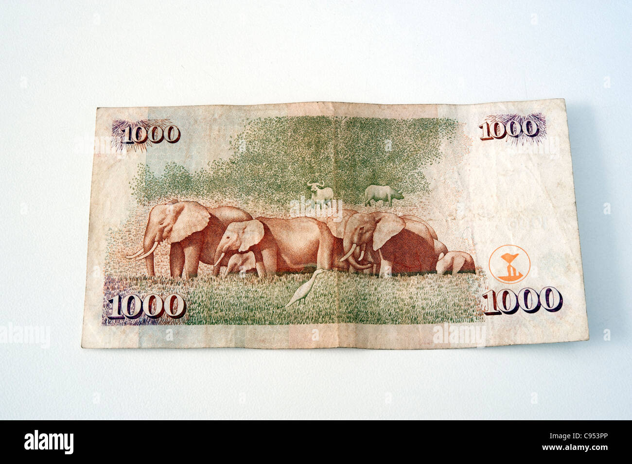 Kenyan currency shillings Stock Photo Alamy