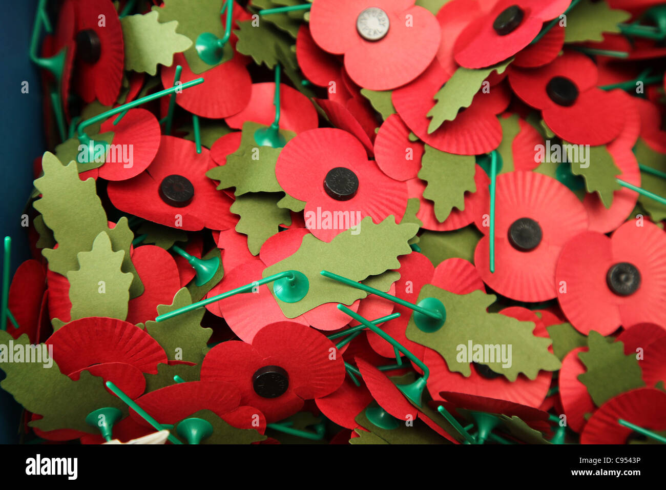 Poppies sold to mark Remembrance Sunday in Britain Stock Photo