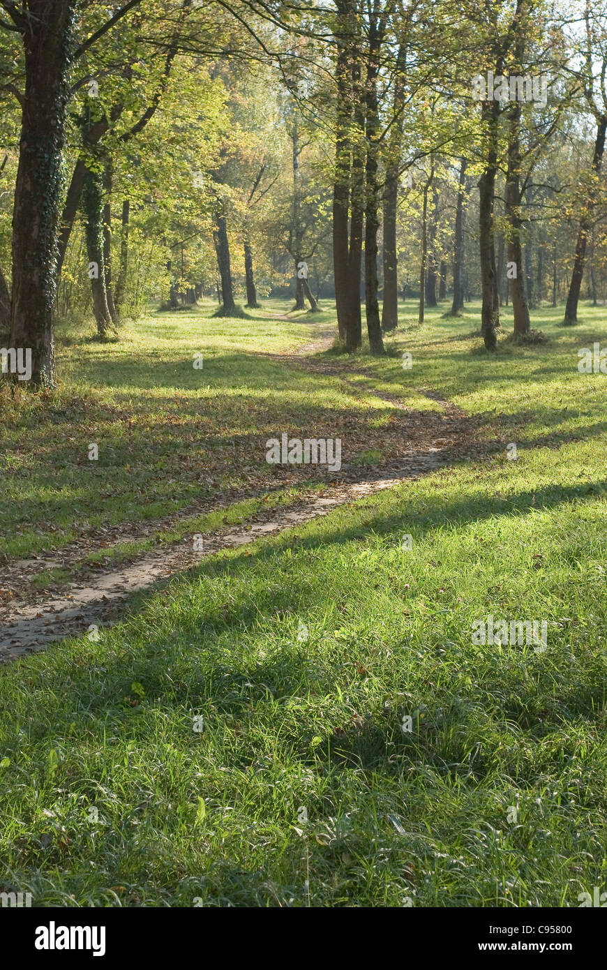 Low Light Landscape with Trail and Grassy Meadow Stock Photo