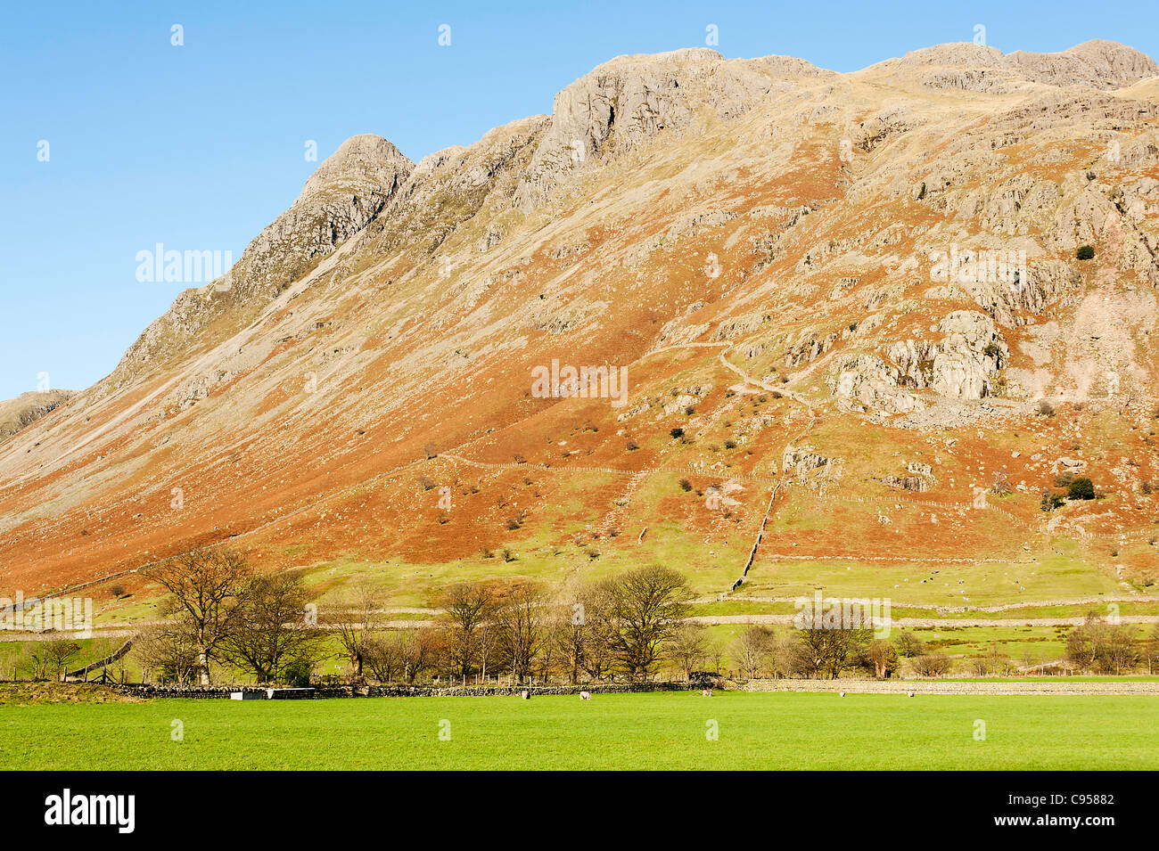 Pike of Stickle and The Langdale Pikes near Dungeon Ghyll in Lake District National Park Cumbria England United Kingdom UK Stock Photo
