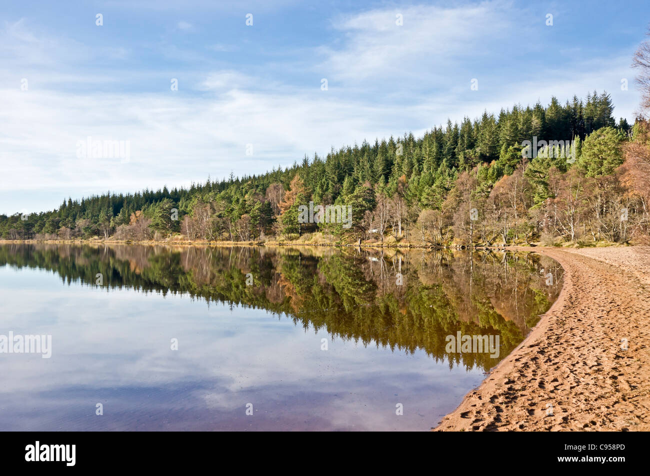 Loch Morlich and beach in the Cairngorms region of Scotland on a calm and sunny autumn day Stock Photo