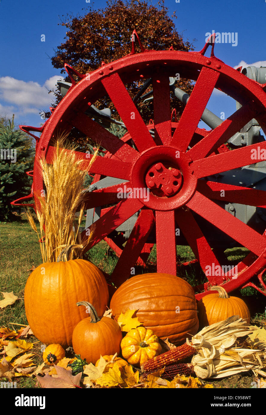 Autumn garden vintage old antique red Fordson tractor wheel abstract, Halloween garden display, New Jersey, USA, Us, United States, munchkins farm Stock Photo