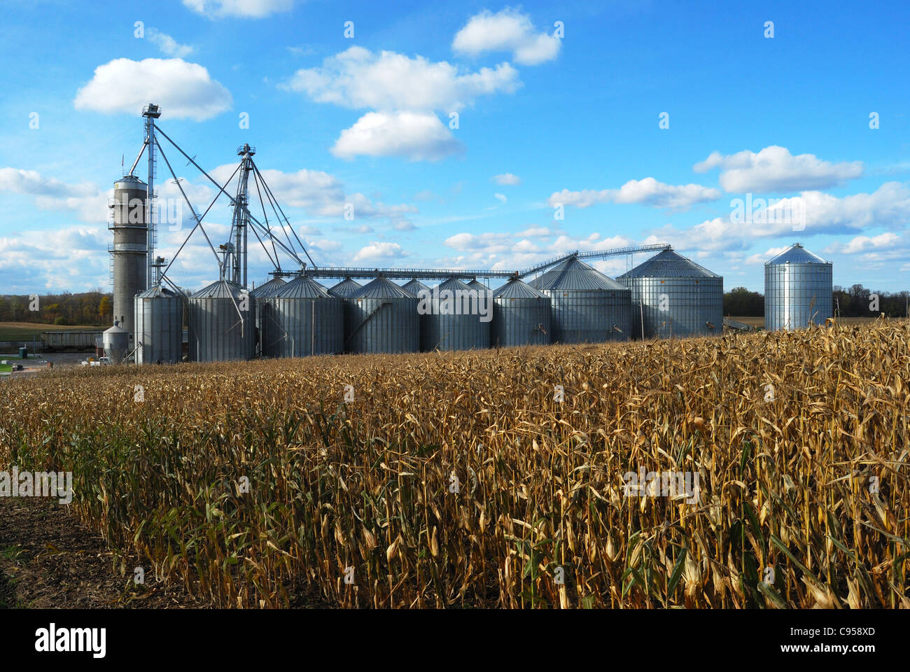 Corn processing on Large farm Stock Photo Alamy