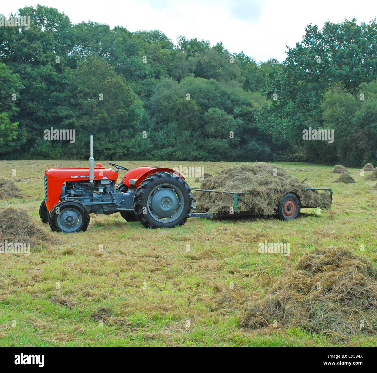 Massey Ferguson 35 tractor 1956 and still working daily Stock Photo