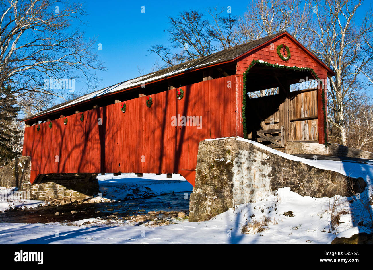 Amish Christmas Lights 